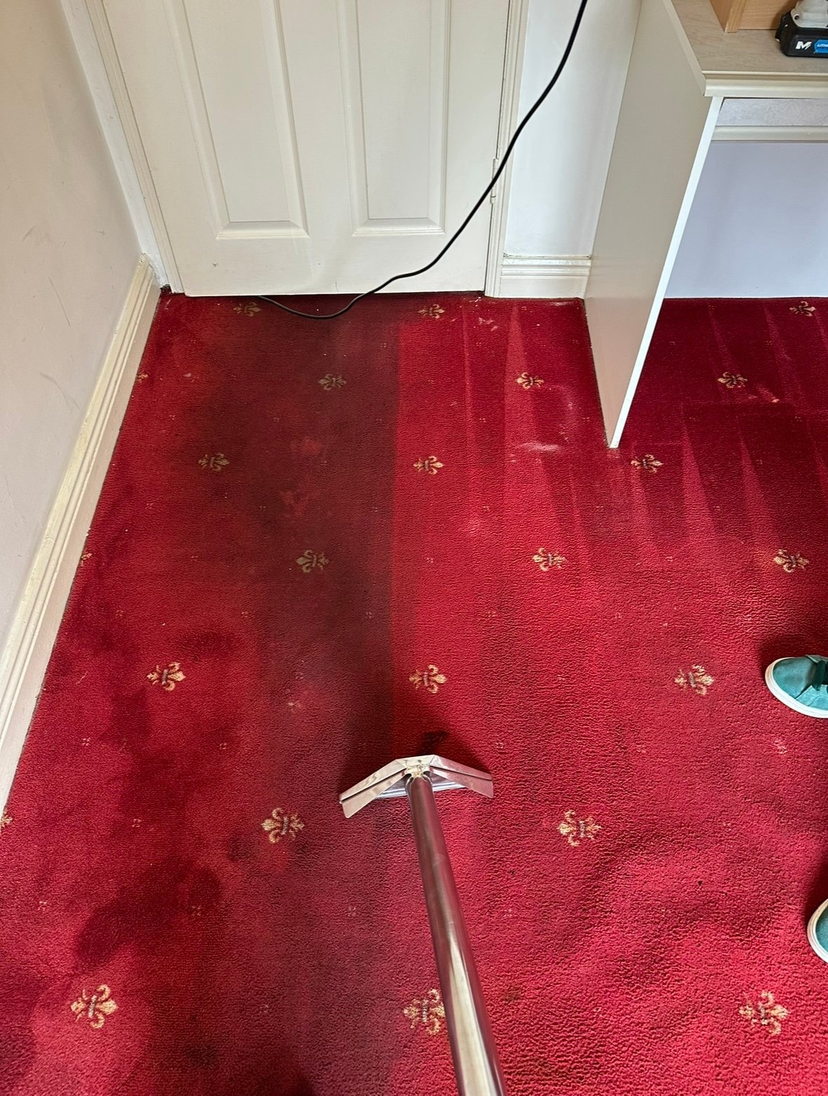 Professional carpet cleaning wand removing dirt from a red fleur-de-lis patterned carpet showing before and after results in Dublin