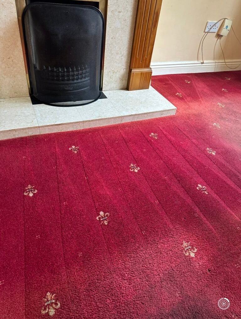 Freshly cleaned red fleur-de-lis patterned carpet in a living room with fireplace showing cleaning stroke marks in Dublin