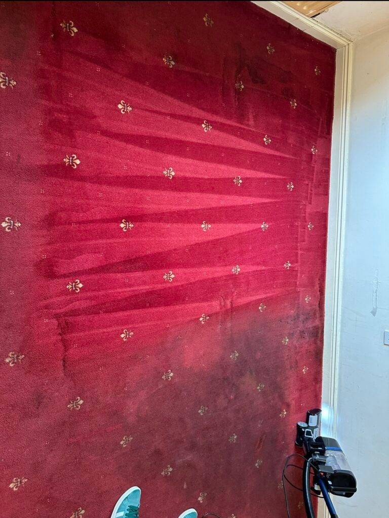 Red fleur-de-lis patterned carpet mid-clean showing dramatic before and after difference in a Dublin property